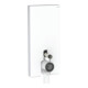 Geberit Stand-WC-Modul Monolith Plus Bauh. 101cm, Fr. Gl. we., S. Aluminium-1