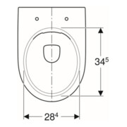 Geberit Stand-WC, Tiefspüler Renova Abg. hor, teilgeschl. F., rimfree, weiß-2
