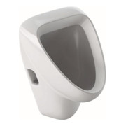 Geberit Urinal Aller weiß KeraTect, Zulauf/Abgang hinten
