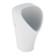 Geberit Urinal Narva Abgang hinten, wasserlos, weiß KeraTect-1