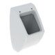 Geberit Urinal Pareo weiß, für Deckel, Zulauf/Abgang hinten-1