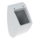 Geberit Urinal Pareo weiß, für Deckel, Zulauf/Abgang hinten-1