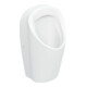 Geberit Urinal Renova L Abg. hi. oder unten, Zulauf hinten, weiß-1
