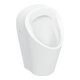 Geberit Urinal Renova M Abg. hi. oder unten, Zulauf hinten, weiß-1