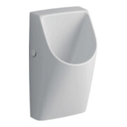 Geberit Urinal Renova Plan Abgang hinten, wasserlos, weiß-1