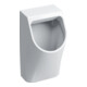 Geberit Urinal Renova Plan weiß, Zulauf/Abgang hinten-1