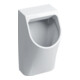 Geberit Urinal Renova Plan weiß, Zulauf/Abgang hinten-1