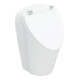 Geberit Urinal Renova S m Deck, Abg. hi. o. unt, Zul. hi., weiß-1