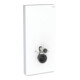 Geberit Wand-WC-Modul Monolith Plus Bauh. 101cm, Fr. Gl. we., S. Aluminium-1