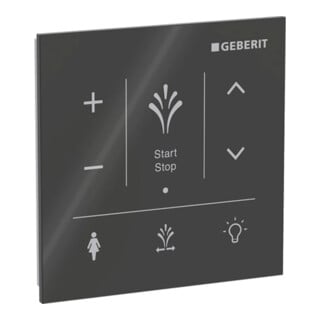 Geberit Wandbedienpanel AquaClean Sela z. AP-Mont., Oberfl. Glas/Farbe schwarz
