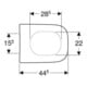 Geberit WC-Sitz Renova Plan ek, Bef. v o, Quick-R. MS vc, m Abs, we.