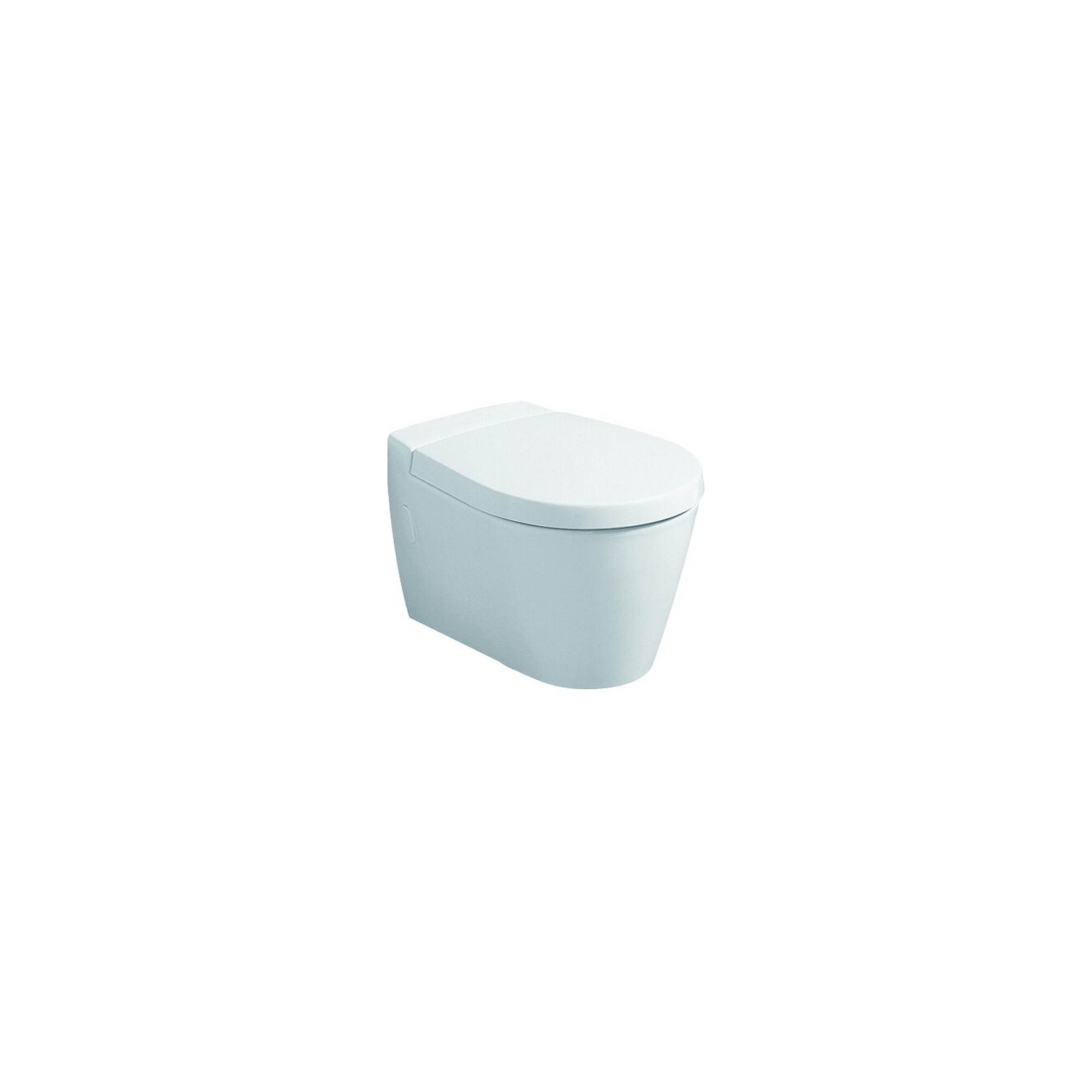 Geberit WC-Sitz Visit weiß, mit Deckel, Scharniere Edelstahl