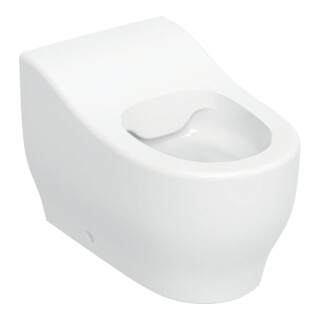 Geberit WC sur pied, cuvette à chasse profonde Bambini blanc, pour tout-petits