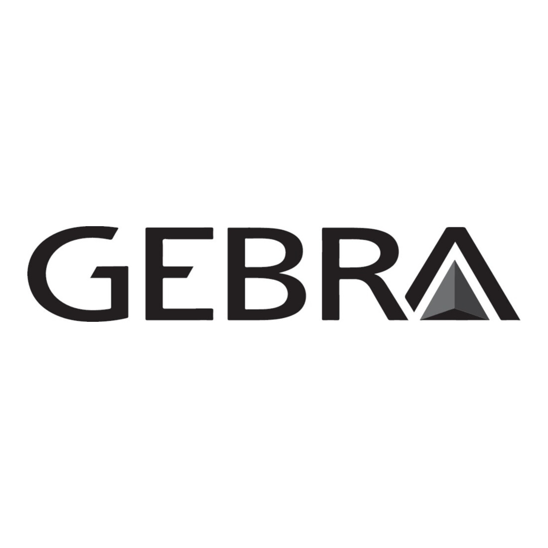 GEBRA Aufb.Box SECU Mini Standa rd, für Augenschutz, blau