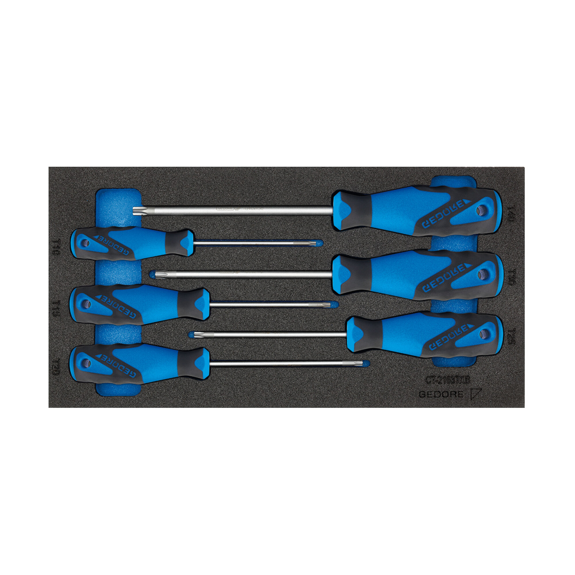 Gedore 1500 CT1-2163 TX Schraubendreher in Check-Tool-Modul