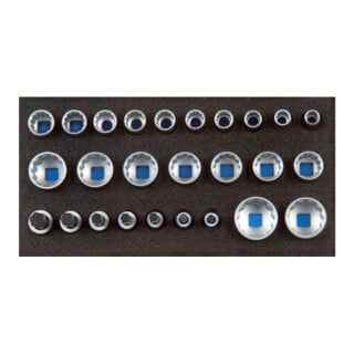 Gedore 1500 CT1-D 19 Satz Steckschlüsseleinsätze 1/2", UD-Profil, in Check-Tool-Modul