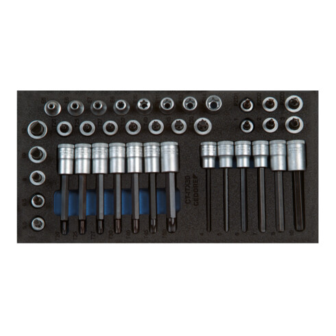 Gedore 1500 CT1-ITX 30-delige schroevendraaierbits 3/8" in Check-Tool-module
