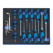 Gedore 2005 CT2-2160 Schraubendreher-Satz in Check-Tool-Modul, 15-teilig