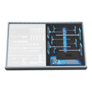 Gedore 2005 CT2-DT 2142 Winkelschraubendreher-Satz in Check-Tool-Modul, 17-teilig-3