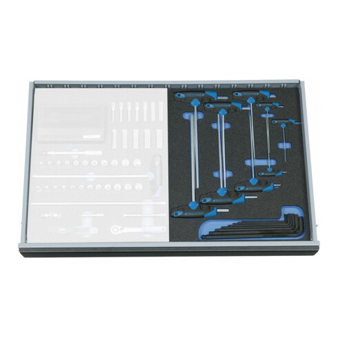 Gedore 2005 CT2-DT 2142 Winkelschraubendreher-Satz in Check-Tool-Modul, 17-teilig