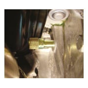 Gedore Arretierdorn-Satz Ford 1.4 / 1.6 HDI TDCi-4