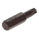 Gedore Embout tournevis intérieur TX, SW T30, 5/16", 8 mm, outil, 887 TX T30-4