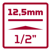 Gedore Inserti per cacciavite 1/2 + supporto 7 pezzi R62458107-4