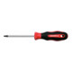 Gedore Red 2K-Schraubendreher TX Torx 100 mm-1