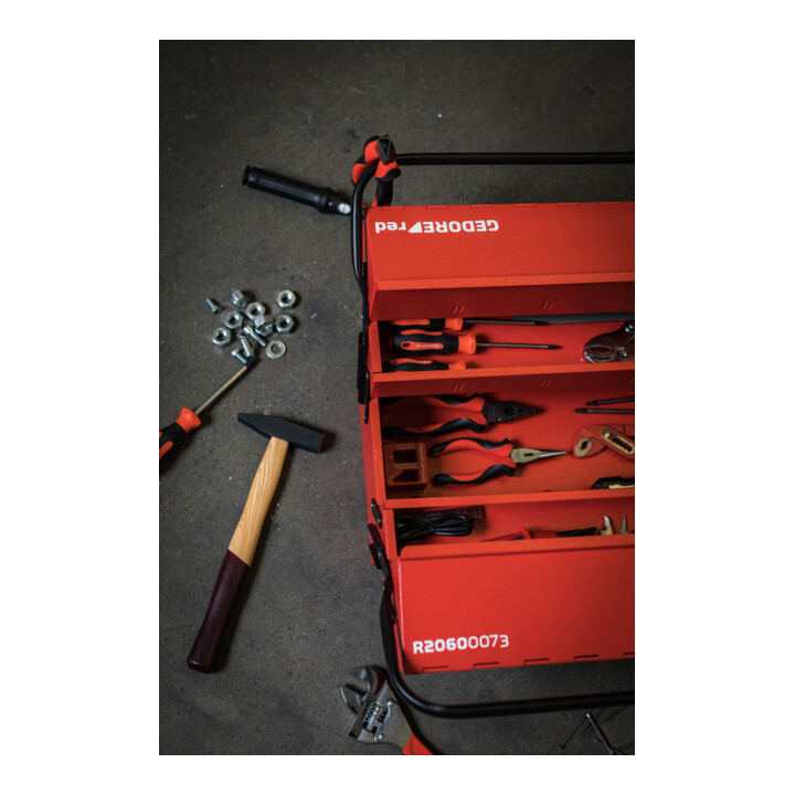 Gedore red Caisse à outils, 5 compartiments, grande, vide, dimensions (LxIxP) : 260x535x210 mm, rouge, tôle d'acier, boîte de tri, R20600073