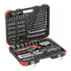 Gedore red Steckschlüsselsatz, Set 232tlg, 1/2 1/4 Zoll Antrieb, Adapter Werkzeug, Knarre Nüsse Bithalter Bits, R46003232-2