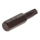 Gedore Schraubendrehereinsatz Bit Innen-TX, SW T30, 5/16", 8 mm, Schraubenziehereinsatz, Werkzeug, 887 TX T30-4