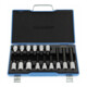 Gedore schroevendraaierset 1/2" 15 delig inbus 5-17 mm