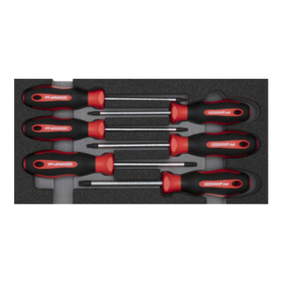 Gedore Set de tournevis TX 2/6 CT-modul 6 pièces R22150015