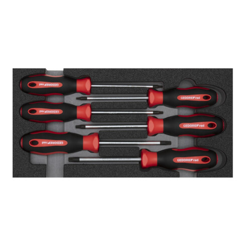 Gedore Set de tournevis TX 2/6 CT-modul 6 pièces R22150015