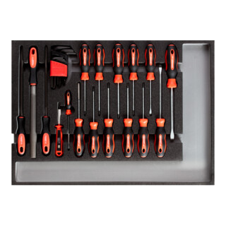 Gedore Set d'outils tournevis + limes CT-Modul 26 pièces R22350002