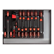 Gedore Set d'outils tournevis + limes CT-Modul 26 pièces R22350002-1