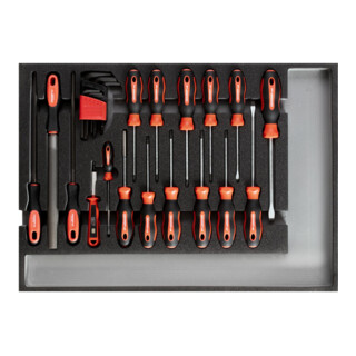 Gedore Set d'outils tournevis + limes CT-Modul 26 pièces R22350002