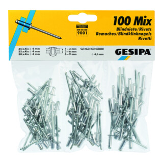 Gesipa Blindniet-Sortiment (100-teilig)