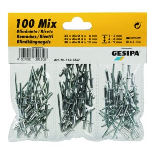 Gesipa Blindniet-Sortiment (100-teilig)