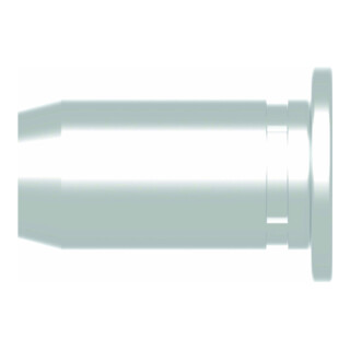Gesipa Blindnietmuttern PolyGrip Alu