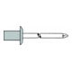 Gesipa CAP blindklinknagel aluminium/staal 4,8 x 21