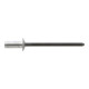 Gesipa CAP-Blindniete Alu/Stahl 3,2 x 9,5