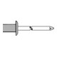 Gesipa CAP-Blindniete Alu/Stahl 3,2 x 9,5