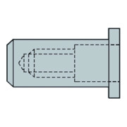 Gesipa CAP-Blindnietmuttern Alu M 4 x 6 x 17