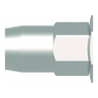 Gesipa Écrous à sertir partiellement hexagonaux acier petite tête tête ronde plate