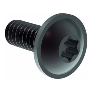 Gesipa Ersatzteil Schraube DIN ISO 7380-2 TX M3 x 8 10.9