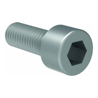 Gesipa Ersatzteil Zylinderschraube M8x1x16