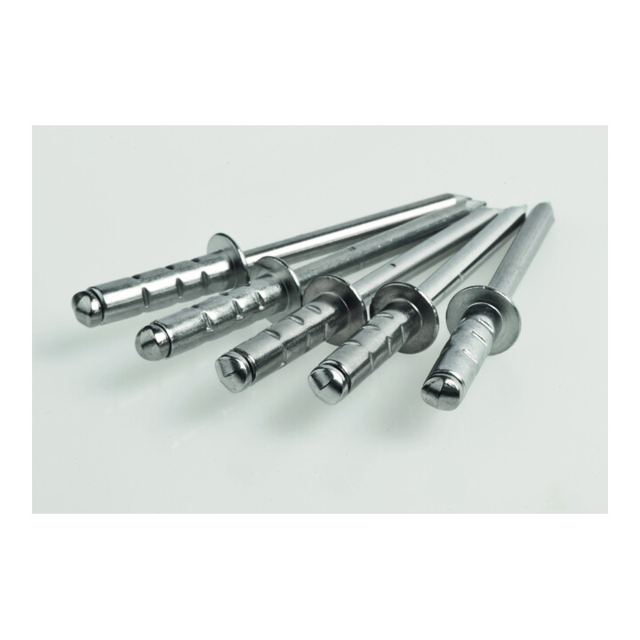 Gesipa GBulb Acier/Acier 4.8 x 10