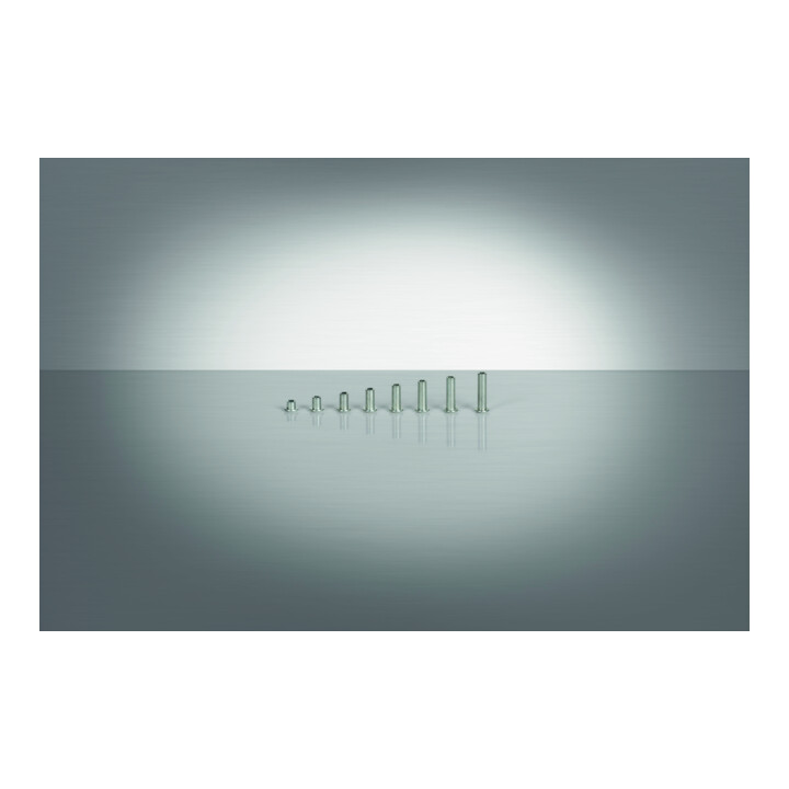 Gesipa Magazin-Blindniet G-Speed Stahl Flachrundkopf 3,2 x 7 Übergröße S