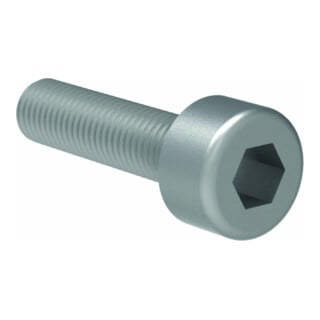 Gesipa pièce de rechange vis à tête cylindrique